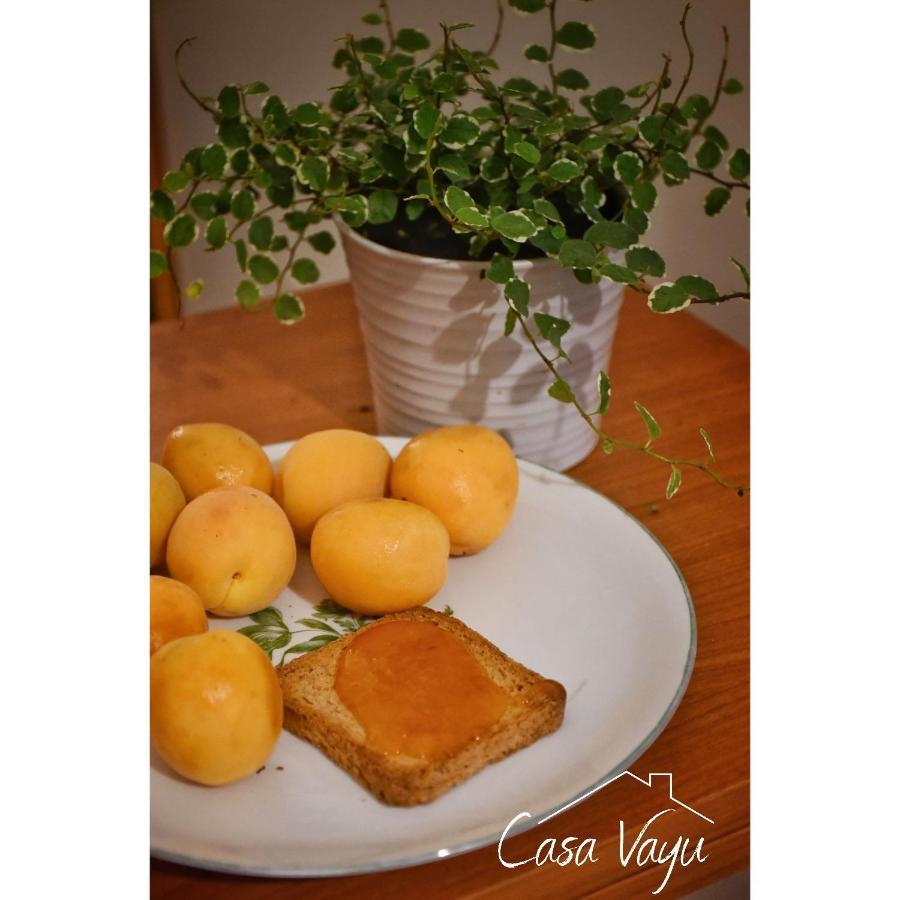 Casa Vayu - Rooms & Garden Napoli Eksteriør billede